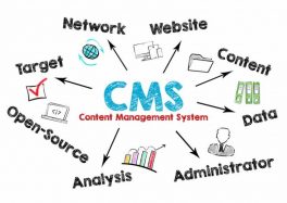cms-website-wordpress cms website management wordpress