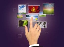 Visual Search Visual Search